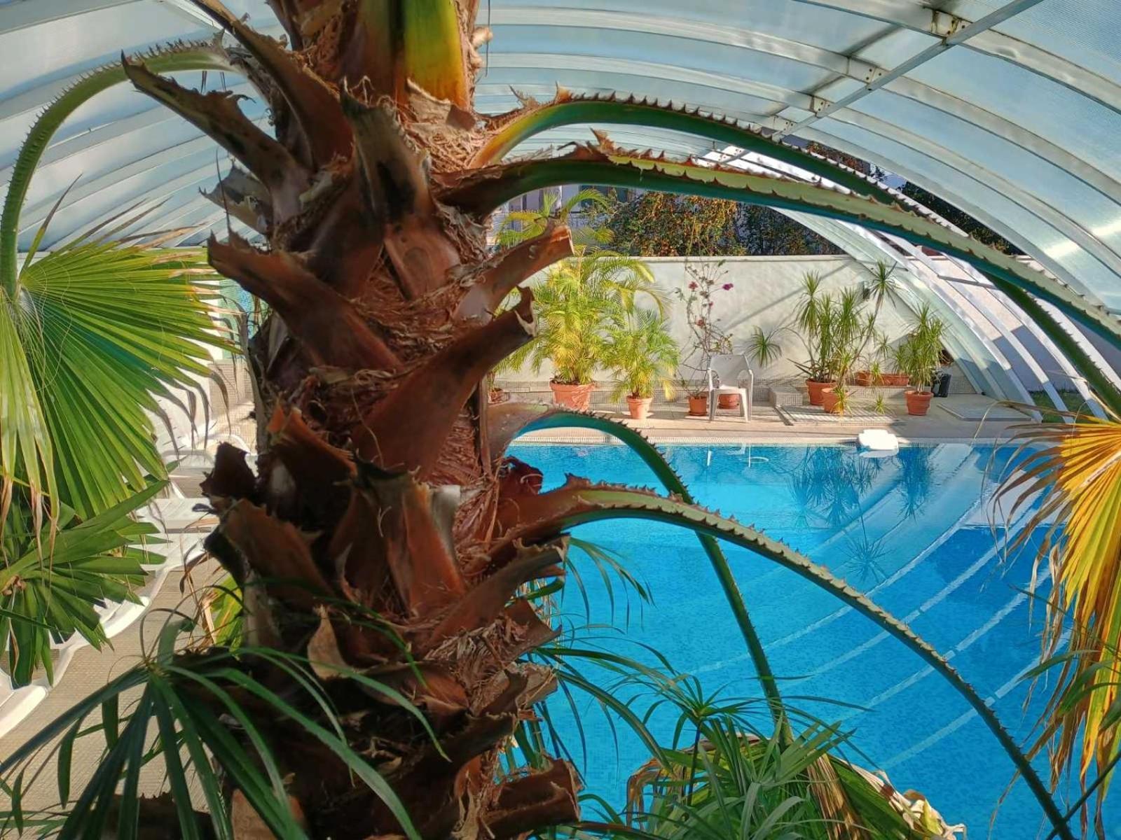 Enis Hotel С Минерален Басейн Сапарева Баня Екстериор снимка